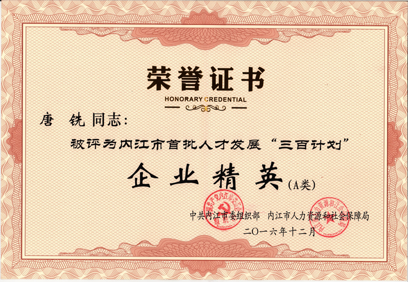 內江市首批人才發展三百計劃.jpg 內江市首批人才發展三百計劃.jpg